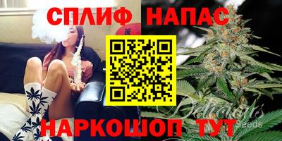 стаф Пенза