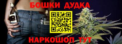 стаф Пенза
