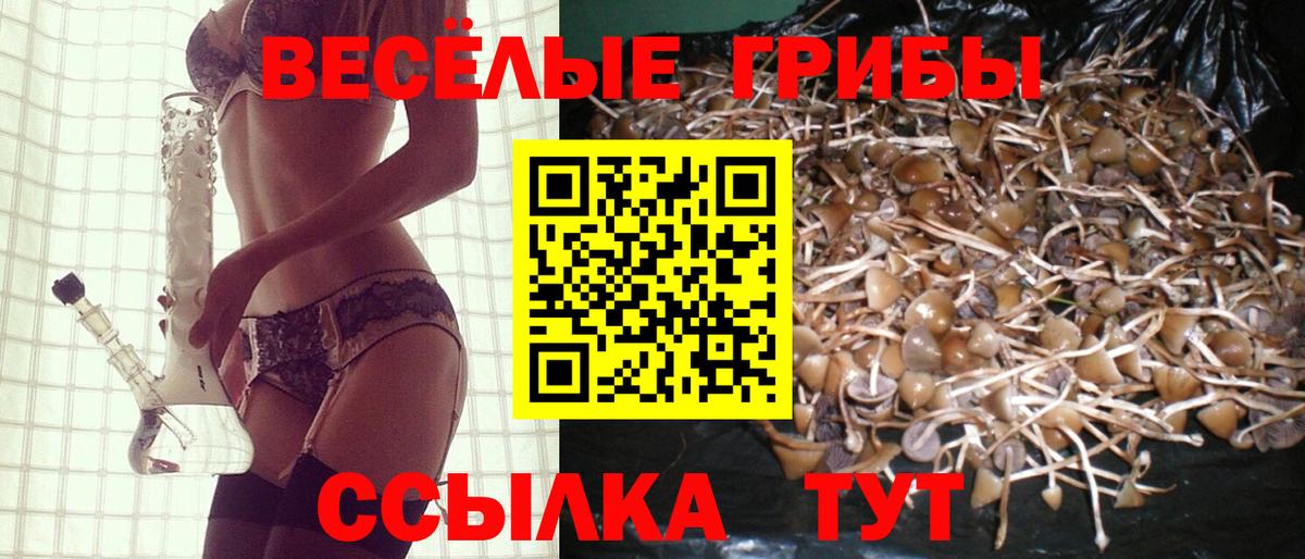 Советский  Псилоцибиновые грибы Cubensis  цена   Вход с VPN 